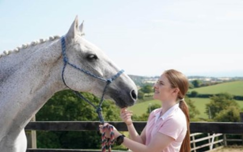 Stable manager - Rachael Coulter - Application